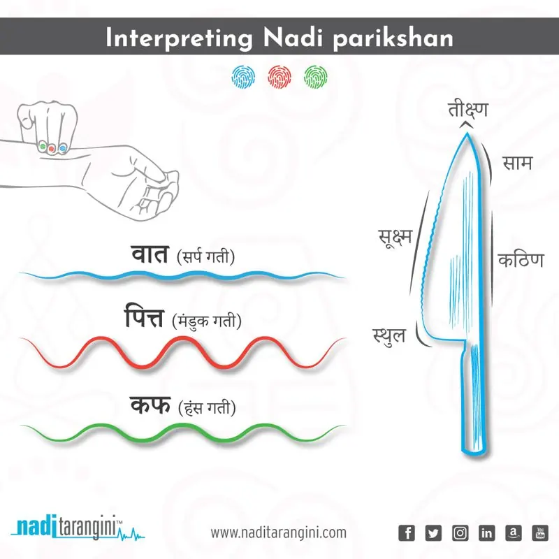 Nadi Pariksha chart showing Vata, Pitta and Kapha pulse patterns